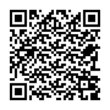 QR-Code für Telefonnummer +22793009613