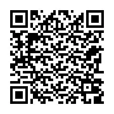 Codice QR per il numero di telefono +22793009675