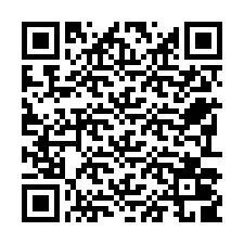 QR Code pour le numéro de téléphone +22793009723