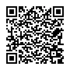 QR-код для номера телефона +22793009747