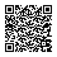 QR-код для номера телефона +22793009900