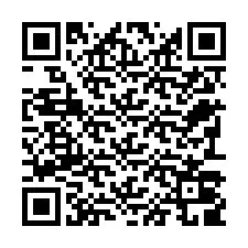 Código QR para número de teléfono +22793009911