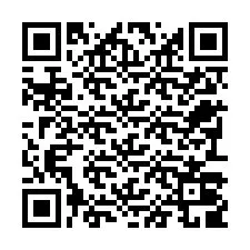 Código QR para número de teléfono +22793009919