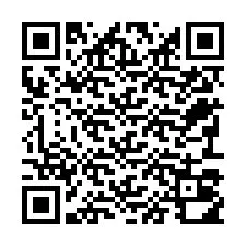 電話番号のQRコード +22793010001