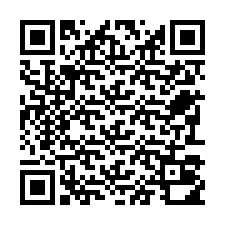 Kode QR untuk nomor Telepon +22793010053