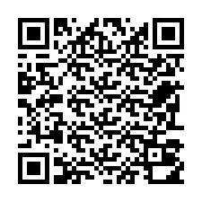 Codice QR per il numero di telefono +22793010077