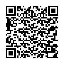 QR Code pour le numéro de téléphone +22793010080