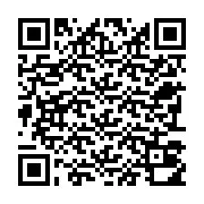 Codice QR per il numero di telefono +22793010094