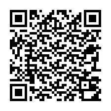 Codice QR per il numero di telefono +22793010100