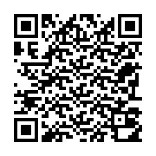 Código QR para número de teléfono +22793010135