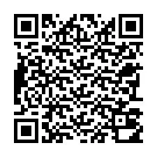 Código QR para número de teléfono +22793010138