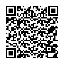 Codice QR per il numero di telefono +22793010153