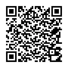 QR-code voor telefoonnummer +22793010163