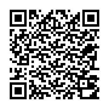 电话号码二维码 +22793010169