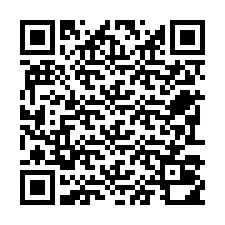 QR-code voor telefoonnummer +22793010173