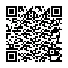 QR-code voor telefoonnummer +22793010240