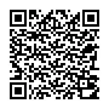 QR-код для номера телефона +22793010244