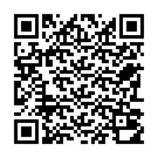 QR Code pour le numéro de téléphone +22793010253