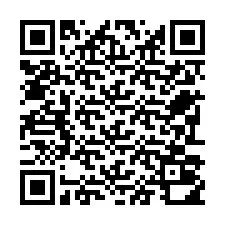 QR-Code für Telefonnummer +22793010373