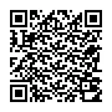 电话号码二维码 +22793010376