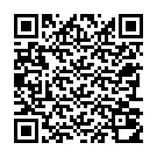 Codice QR per il numero di telefono +22793010388