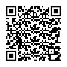 QR-code voor telefoonnummer +22793010410