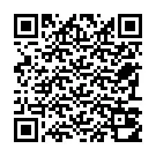 Kode QR untuk nomor Telepon +22793010413