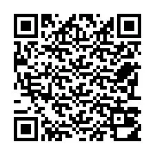 QR-код для номера телефона +22793010437