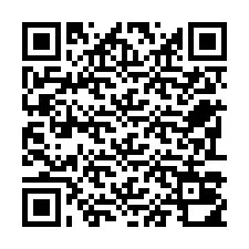 QR-код для номера телефона +22793010473