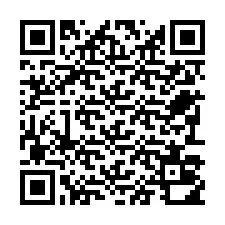 QR-code voor telefoonnummer +22793010513