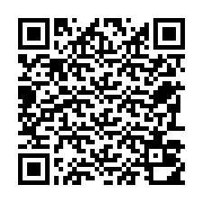 Kode QR untuk nomor Telepon +22793010553