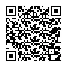 Codice QR per il numero di telefono +22793010563