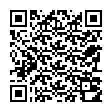 Kode QR untuk nomor Telepon +22793010613