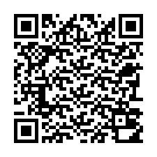 Codice QR per il numero di telefono +22793010658