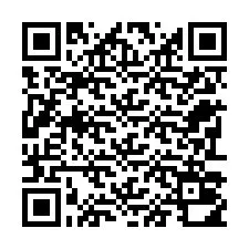 QR-код для номера телефона +22793010675