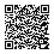 QR-code voor telefoonnummer +22793010690