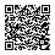 Codice QR per il numero di telefono +22793010739