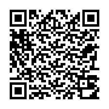 Codice QR per il numero di telefono +22793010845