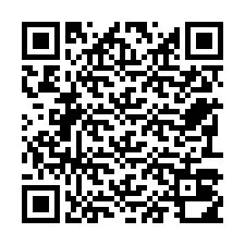 Codice QR per il numero di telefono +22793010847