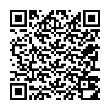 電話番号のQRコード +22793010979
