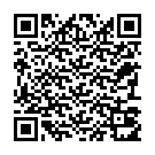Codice QR per il numero di telefono +22793011001
