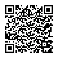Codice QR per il numero di telefono +22793011011