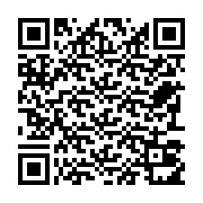 Codice QR per il numero di telefono +22793011017