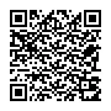 Código QR para número de teléfono +22793011033