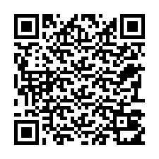 QR Code for Phone number +22793011041