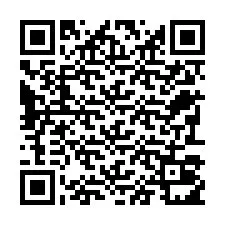 电话号码二维码 +22793011051