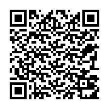 QR Code for Phone number +22793011101