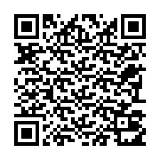 电话号码二维码 +22793011129