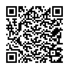 电话号码二维码 +22793011137