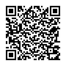 电话号码二维码 +22793011156